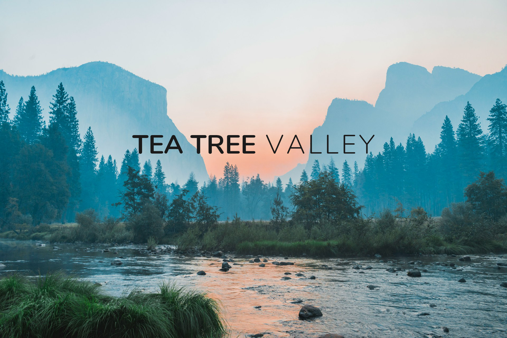 About Tea Tree Valley